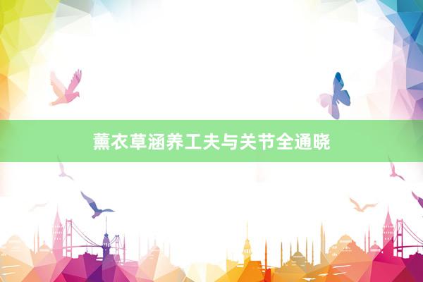薰衣草涵养工夫与关节全通晓